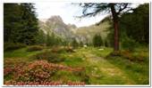 DSCN5856.jpg