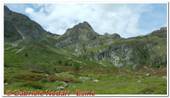 DSCN5862.jpg