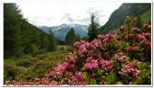 DSCN5875.jpg