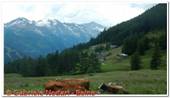 DSCN5887.jpg