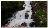 DSCN5894.jpg