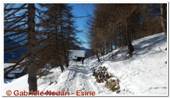 DSCN4411.jpg