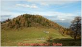 DSCN1194.jpg