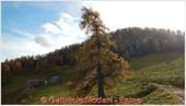 DSCN1206.jpg