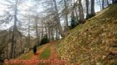 DSCN5120.jpg