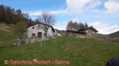 DSCN5172.jpg