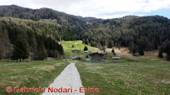 DSCN5179.jpg