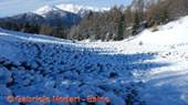 DSCN6119.jpg