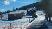 DSCN6139.jpg
