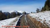 DSCN6172.jpg