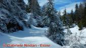 DSCN6249.jpg