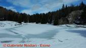DSCN6267.jpg