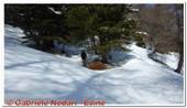 DSCN7488.jpg