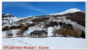 DSCN7528.jpg