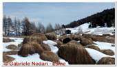 DSCN7574.jpg