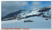 DSCN2670.jpg