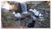 DSCN5990.jpg