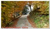 DSCN2012.jpg