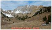 DSCN9401.jpg