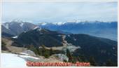DSCN9437.jpg