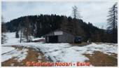 DSCN9468.jpg