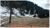 DSCN9469.jpg