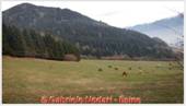 DSCN9479.jpg