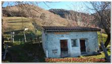 DSCN6044.jpg