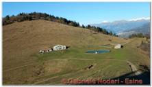 DSCN6065.jpg