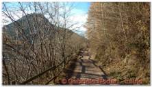 DSCN6173.jpg
