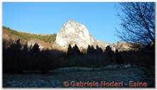 DSCN6182.jpg
