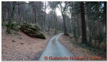 DSCN6184.jpg