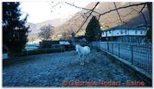 DSCN6191.jpg