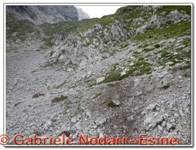 DSCN0175.jpg