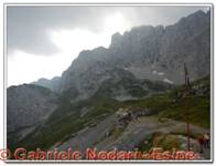 DSCN0203.jpg