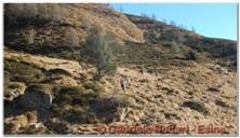 DSCN6965.jpg