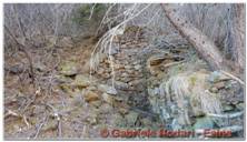 DSCN7181.jpg
