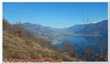 DSCN5860.jpg