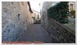 DSCN5877.jpg