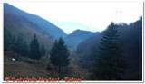 DSCN5576.jpg