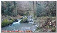 DSCN3088.jpg