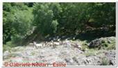 DSCN5916.jpg