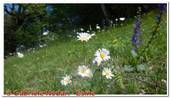 DSCN5953.jpg