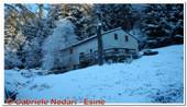 DSCN3590.jpg