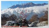 DSCN3597.jpg