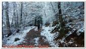 DSCN3628.jpg