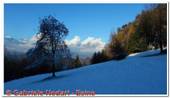 DSCN3635.jpg