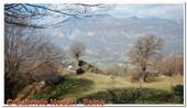 DSCN6802.jpg