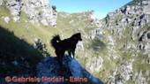 DSCN2719.jpg