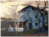 DSCN5590.jpg